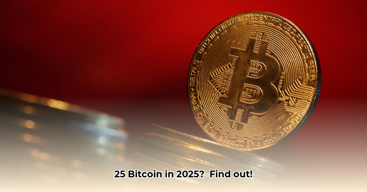 how-much-is-25-bitcoins